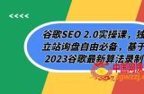 （7708期）谷歌搜索SEO 2.0实操课，自建站外贸询盘随意必不可少，根据2023谷歌搜索全新优化算法拍摄（94节