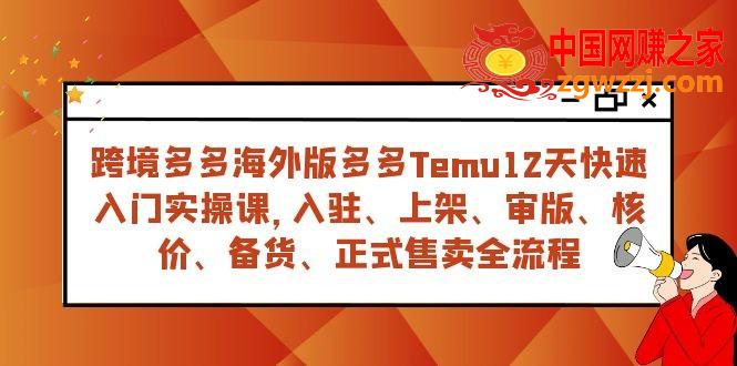 （7686期）跨境电商多多的国际版多多的Temu12天快速上手实战演练课，从进驻 上架到宣布出售全过程