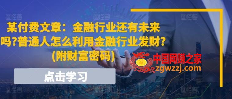 某付费文章：金融行业还有未来吗?普通人怎么利用金融行业发财?(附财富密码)