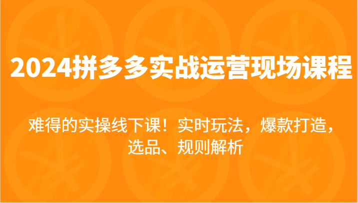 图片[1]-2024拼多多平台实战演练经营当场课，即时游戏玩法，爆款打造，选款、标准分析，不可多得的实际操作面授课！-中创网_分享中创网创业资讯_最新网络项目资源