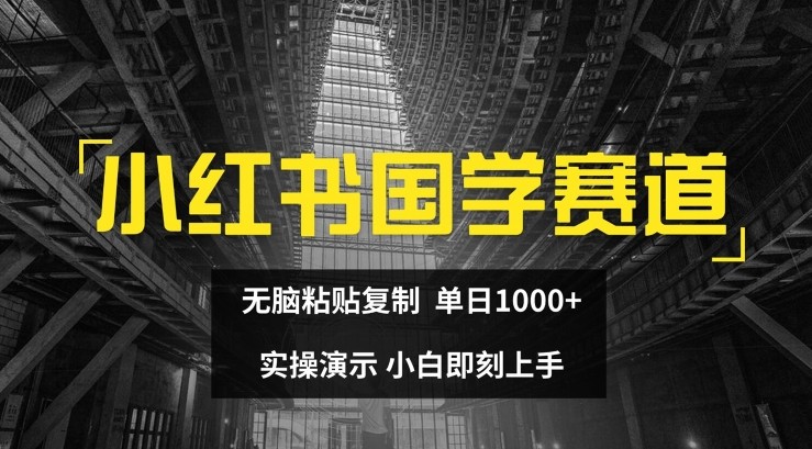 小红书国学赛道，无脑粘贴**，单日1K，实操演示，小白即刻上手【揭秘】