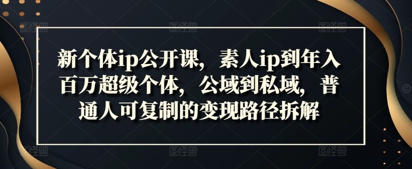 新个体ip公开课，素人ip到年入百万超级个体，公域到私域，普通人可**的变现路径拆解