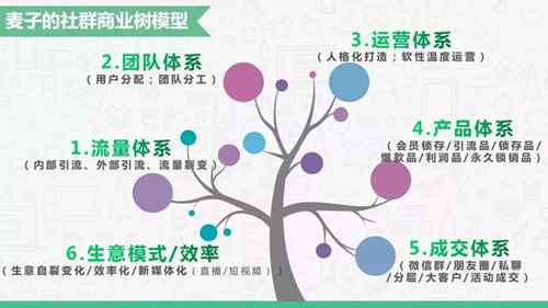 社群高效成交总结：如何通过微信群做到3个月营收8000万？