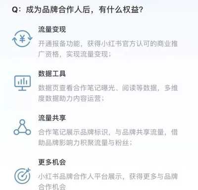 小红书种草超强带货变现 一个被忽略的优质捞金网赚平台,小红书,小红,红书,超强,免费项目,种草,第5张