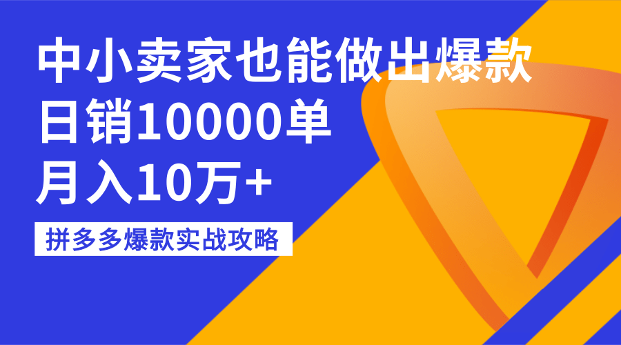 拼多多爆款实战攻略：中小卖家也能做出爆款，日销10000单，月入10万+