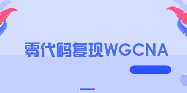 零代码复现WGCNA教程