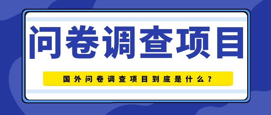 国外问卷调查项目到底是什么，深度解析国外问卷调查项目