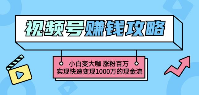 玩转微信视频号赚钱：小白变大咖涨粉百万实现快速变现1000万的现金流,玩转微信视频号赚钱：小白变大咖涨粉百万实现快速变现1000万的现金流,短视频,抖音0基础短视频实战课，短视频运营赚钱新思路，零粉丝也能助你上热门,第1张