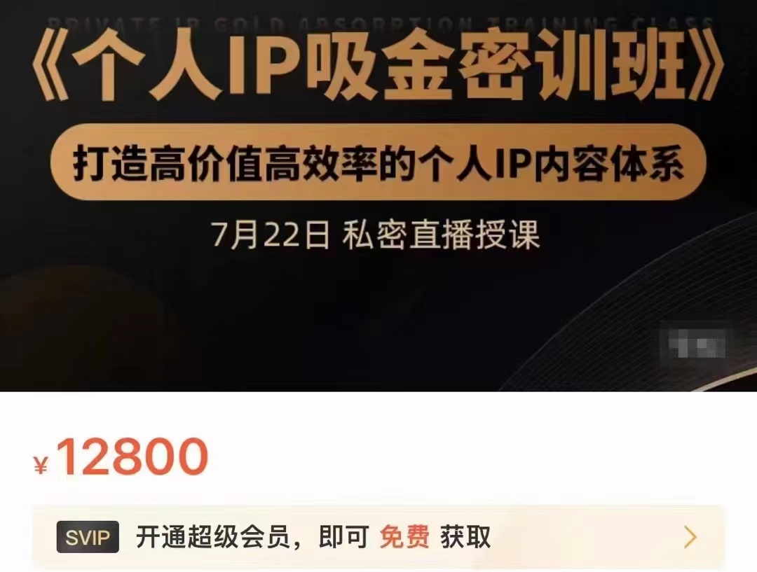 个人IP吸金密训班，打造高价值高效率的个人IP内容体系（价值12800元）,个人IP吸金密训班，打造高价值高效率的个人IP内容体系（价值12800元）,个人品牌技能变现课,通过个人品牌打造自动赚钱系统（视频课程）,第1张