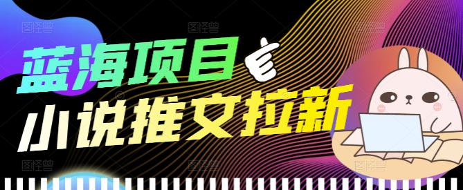 外面收费6880的小说推文拉新项目，个人工作室可批量做【详细教程】,项目,视频,小说,第1张