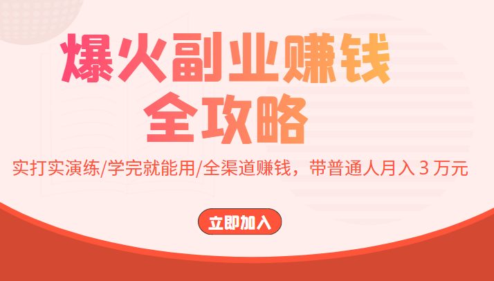 爆火副业赚钱全攻略：实打实演练/学完就能用/全渠道赚钱，带普通人月入３万元,副业,mp4,个人,第1张