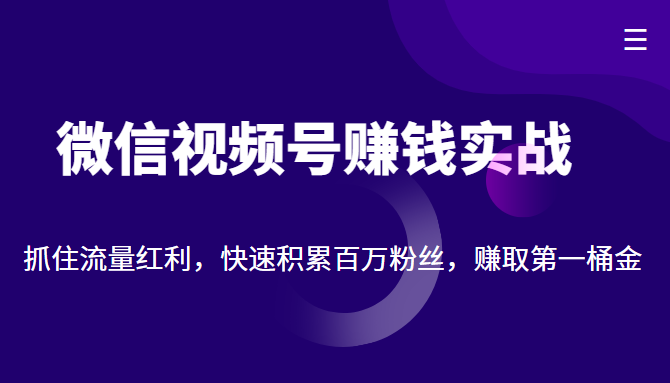 微信视频号赚钱实战：抓住流量红利，快速积累百万粉丝，赚取你的第一桶金,视频,课,号,第1张