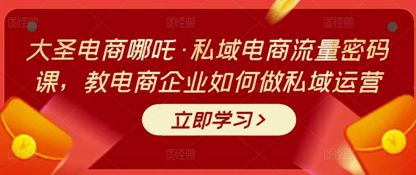 大圣电商哪吒·私域电商流量密码课，教电商企业如何做私域运营,电商,私域,-,第1张