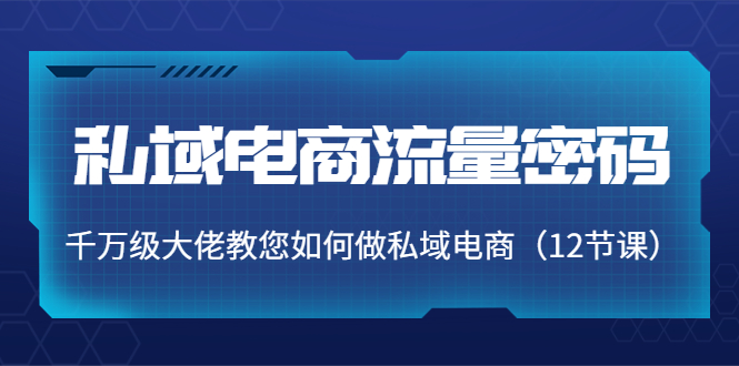 私域电商流量密码：千万级大佬教您如何做私域电商（12节课）,电商,私域,-,第1张