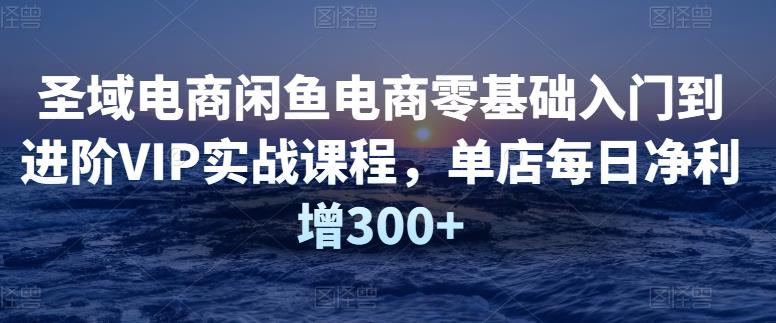 圣域电商闲鱼电商零基础入门到进阶VIP实战课程，单店每日净利增300+,mp,闲鱼,技巧,第1张