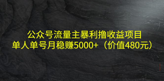 公众号流量主暴利撸收益项目，单人单号月稳赚5000+（价值480元）,项目,收益,问题,第1张