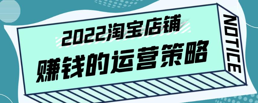 震宇老师·2022年淘宝店铺赚钱的运营策略，一套能够盈利的赚钱打法,策略,第1张