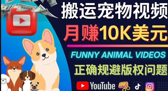 搬运TIKTOK视频到YouTube，并进行二次创作，月赚1万美元以上,视频,宠物,第1张