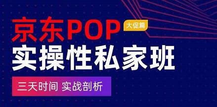 京东POP实操性私家班——大促篇，​三天时间，实战剖析-​原价4980,玩法,第1张