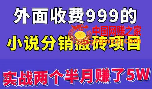 小说分销搬砖项目：实战两个半月赚了5万块，操作简单（原价999）,外面收费999的小说分销搬砖项目：实战两个半月赚了5W块，操作简单,项目,小说,分销,第1张