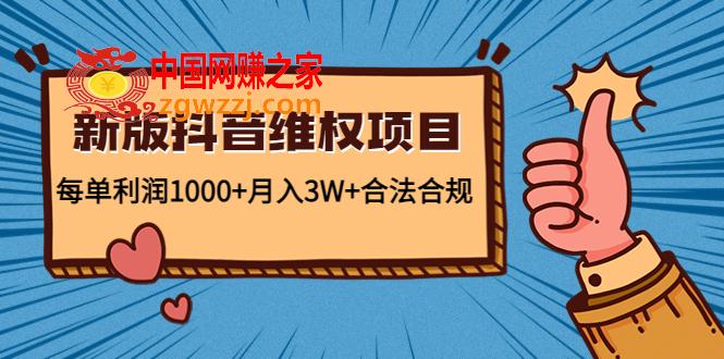 新版抖音维全项目：每单利润1000 月入3W 合法合规！