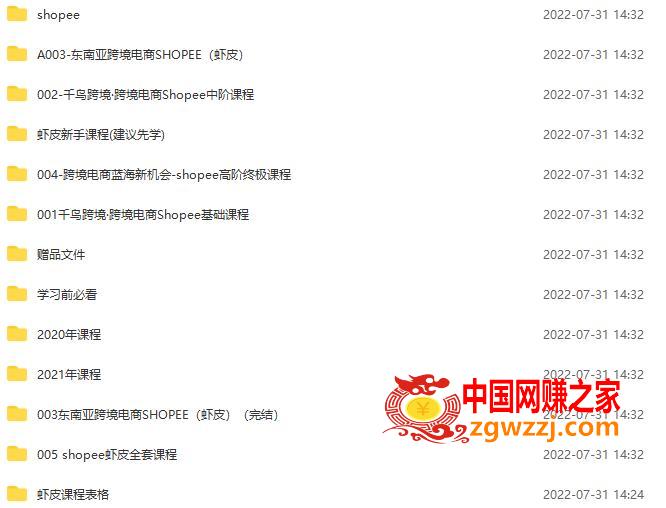 shopee运营教程：从入门基础到高级精通，开店到日出100单（全套课程）