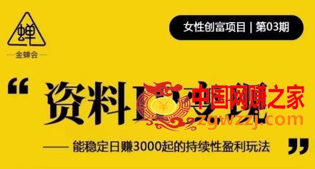 资料IP变现，能稳定日赚3000起的持续性盈利玩法,资料IP变现，能稳定日赚3000起的持续性盈利玩法,IP,玩法,资料,第1张