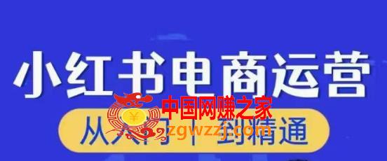 顽石小红书电商高阶运营课程，从入门到精通，玩法流程持续更新,顽石小红书电商高阶运营课程，从入门到精通，玩法流程持续更新,笔记,流量,视频,第1张