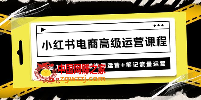 小红书电商高级运营课程：基础入驻篇+商城流量运营+笔记流量运营