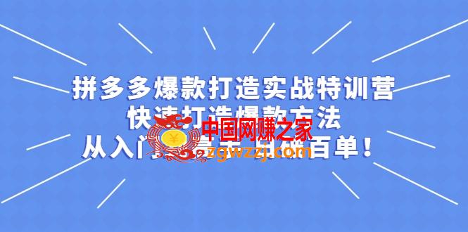 拼多多：开店打造爆款实战教程，一套从0到**课程,拼多多开店打造爆款实战教程，一套从新手到**课程,mp,爆款,流量,第1张