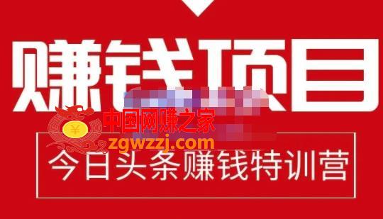 今日头条项目玩法，头条中视频项目，单号收益在50—500可批量,懒人领域·今日头条项目玩法，头条中视频项目，单号收益在50—500可批量,视频,mp4,课程,第1张