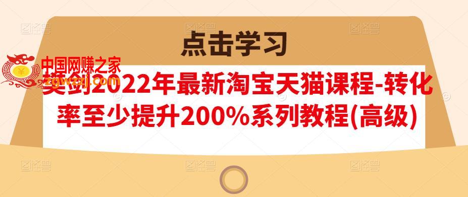 【高级】2022年最新淘宝天猫课程-转化率至少提升200%系列教程