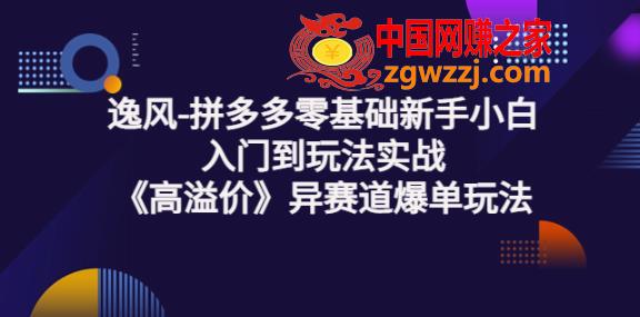 拼多多零基础新手小白入门到玩法实战《高溢价》异赛道爆单玩法实操课,拼多多零基础新手小白入门到玩法实战《高溢价》异赛道爆单玩法实操课,玩法,实战,第1张