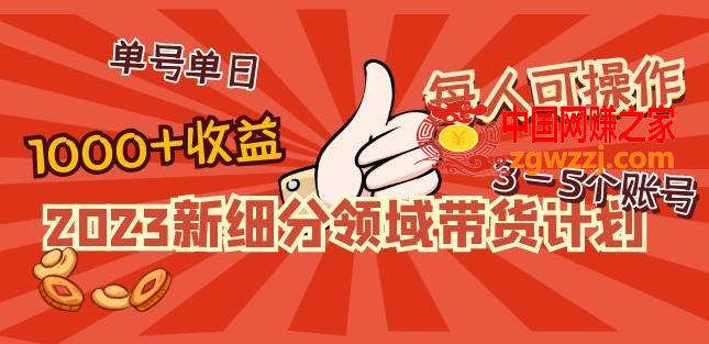 2023新细分领域带货计划：单号单日1000+收益不难，每人可操作3-5个账号,2023新细分领域带货计划：单号单日1000+收益不难，每人可操作3-5个账号,货,账号,营收,第1张