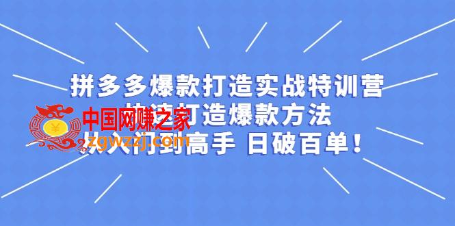 拼多多开店打造爆款实战教程，一套从新手到**课程,拼多多开店打造爆款实战教程，一套从新手到**课程,爆款,**,实战,第1张