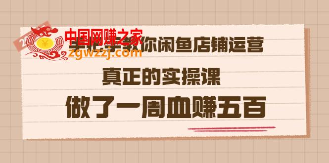 2022最新【手把手教你闲鱼店铺运营】实操课，做了1周赚五百 (16节课),2022版《手把手教你闲鱼店铺运营》真正的实操课 做了一周血赚五百 (16节课),课,店铺,运营,第1张