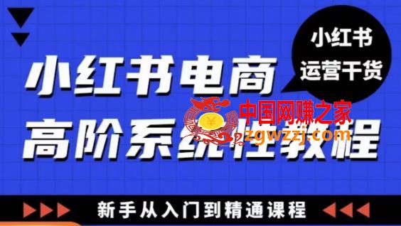 小红书电商高阶系统教程，新手从入门到精通系统课,小红书电商高阶系统教程，新手从入门到精通系统课,电商,视频,课程,第1张