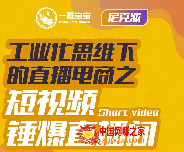 尼克派：工业化思维下的直播电商之短视频锤爆直播间，听话照做执行爆单（原价6980元）,工业化思维下的直播电商之短视频锤爆直播间，听话照做执行爆单,直播间,类型,电商,第1张