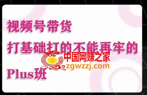 大播汇·视频号带货Puls班，视频号底层逻辑，起号自然流鱼塘等玩法,大播汇·视频号带货Puls班，视频号底层逻辑，起号自然流鱼塘等玩法,号,视频,逻辑,第1张