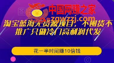 淘宝蓝海无货源项目，不囤货不推广只做冷门高利润代发，花一半时间赚10倍钱,淘宝蓝海无货源项目，不囤货不推广只做冷门高利润代发，花一半时间赚10倍钱,蓝海,钱,货源,第1张