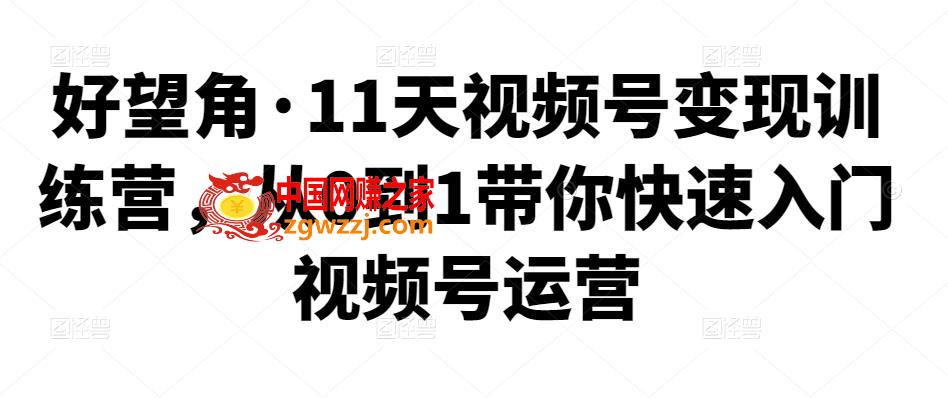 11天视频号变现训练营：从0到1带你快速入门视频号运营,11天视频号变现训练营，从0到1带你快速入门视频号运营,视频号,号,视频,第1张