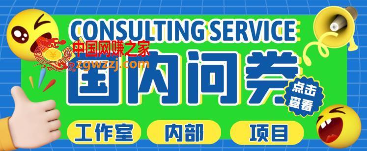 最新工作室内部国内问卷调查项目，单号轻松日入30+多号多撸【详细玩法教程】,最新工作室内部国内问卷调查项目，单号轻松日入30+多号多撸【详细玩法教程】,项目,IP,第1张