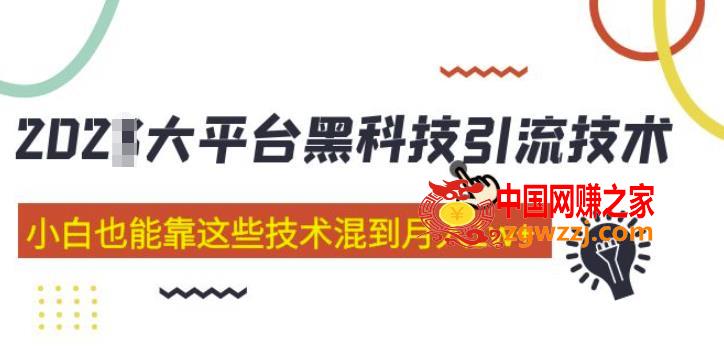 大平台黑科技引流技术，小白也能靠这些技术混到月入1w+(2022年的课程）