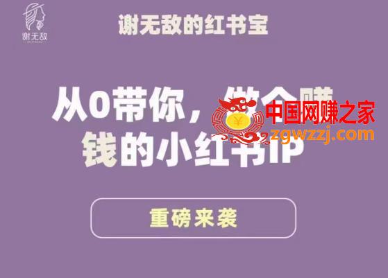 谢无敌·小红书运营大宝典，从0带你做个赚钱的小红书IP