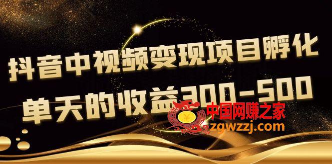 黄岛主《抖音中视频变现项目孵化》单天的收益300-500 操作简单粗暴,黄岛主《抖音中视频变现项目孵化》单天的收益300-500 操作简单粗暴,视频,项目,真人,第1张