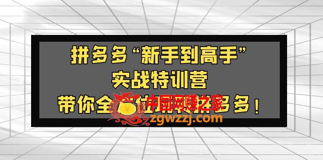 拼多多“新手到高手”实战特训营：带你全方位玩转拼多多！,拼多多“新手到高手”实战特训营：带你全方位玩转拼多多！,实战,全方位,高手,第1张