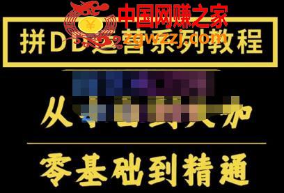 2022全套拼多多核心实操课程，从0-1轻松起链接实战，低投入高产出运作店铺