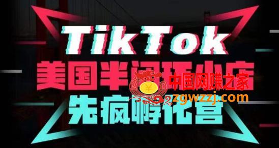 疯人院·TikTok美国半闭环小店孵化营，抢占TikTok美国蓝海市场，开店、运营、带货、投流全实操,疯人院·TikTok美国半闭环小店孵化营，抢占TikTok美国蓝海市场，开店、运营、带货、投流全实操,美国,第1张