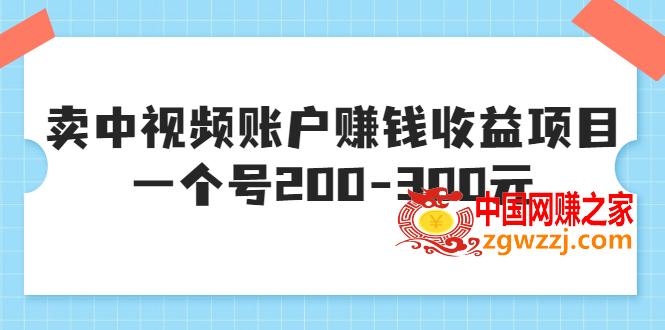 中视频赚钱陪跑：中视频账户赚钱收益项目，一个号200-300元,某599元收费培训：卖中视频账户赚钱收益项目，一个号200-300元,号,项目,第1张