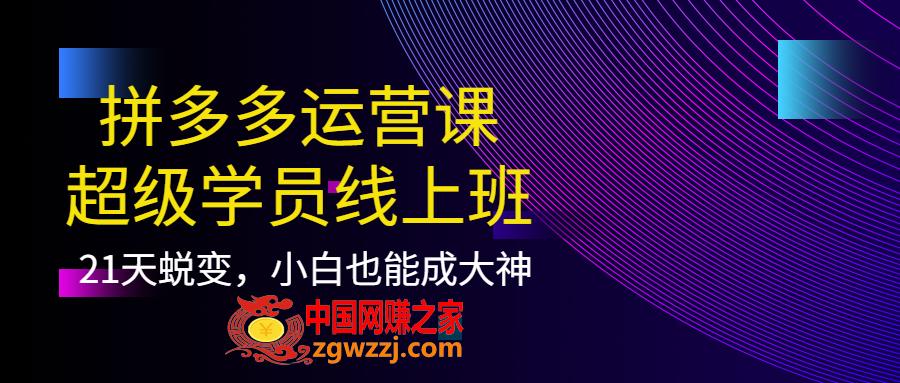 拼多多运营课：超级学员线上班，21天蜕变，小白也能成大神